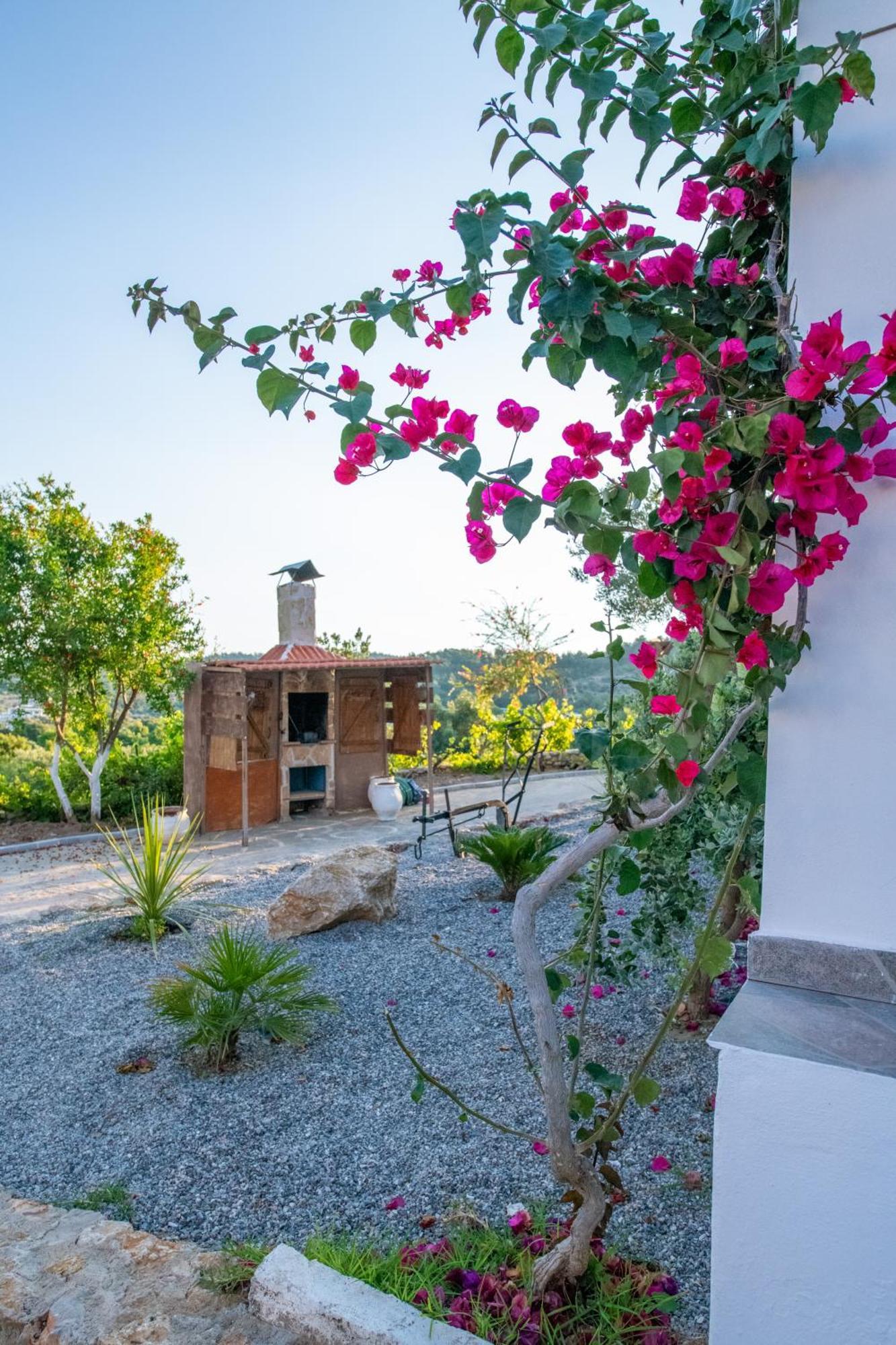 Vakantiehuis To Stolidi Tis Psinthou Psinthos