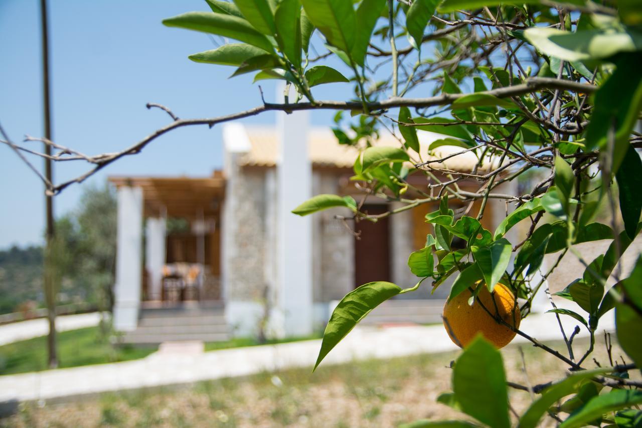 Vakantiehuis To Stolidi Tis Psinthou